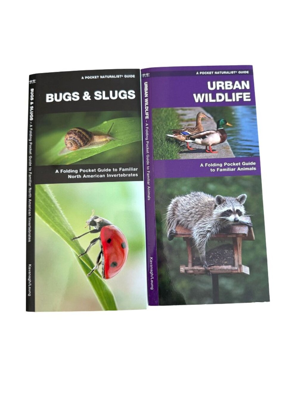 Bugs & Slugs Urban Wildlife Folding Pocket Guides For Nature Identification